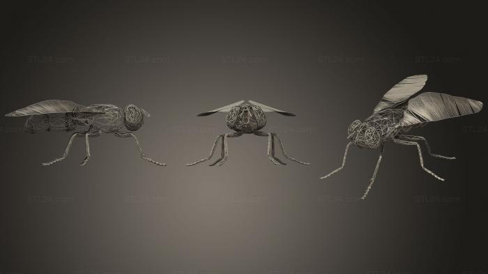 Insects (FLY WIREFRAME, INSCT_0009) 3D models for cnc